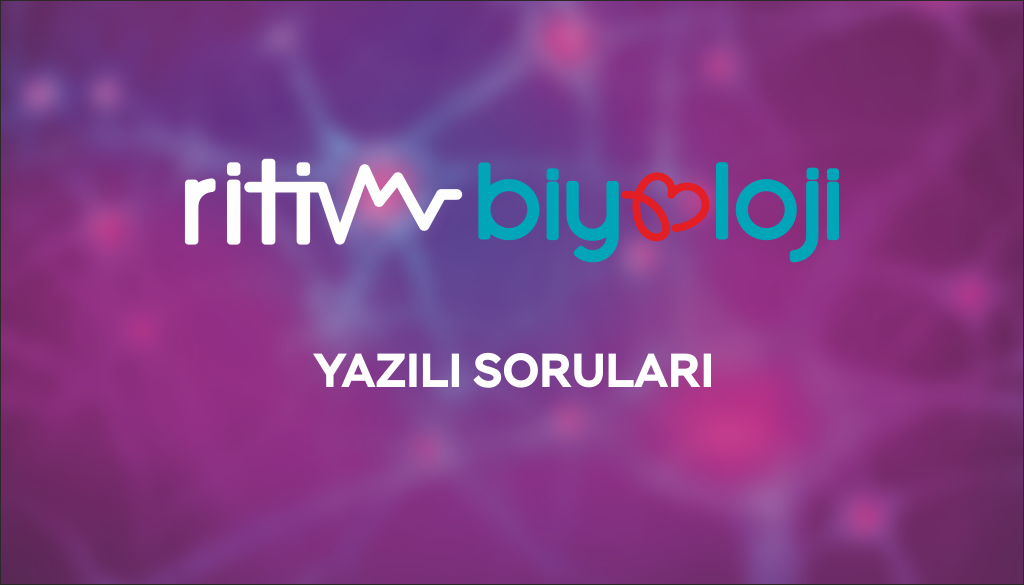 Ritim Biyoloji Yazılı Soruları